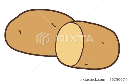 Illustration of one May Queen potato and half cut 56250074