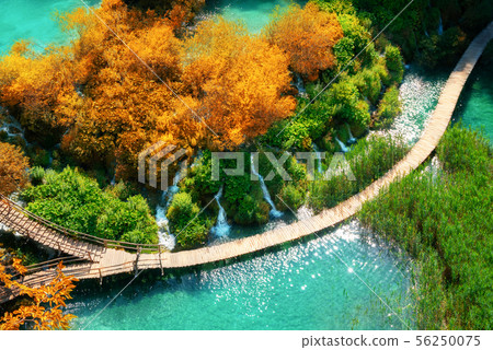 Beautiful wooden path in Plitvice Lake, Croatia. Beautiful wooden path in Plitvice Lake, Croatia. 56250075