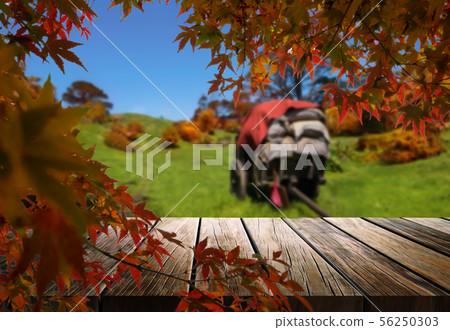 Wood table in autumn landscape with empty space. 56250303