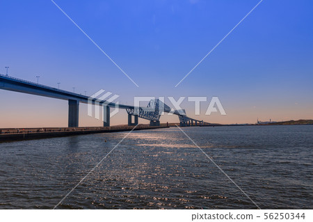 東京門橋晚上風景 東京門橋晚上風景 56250344