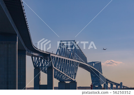 東京門橋晚上風景 東京門橋晚上風景 56250352
