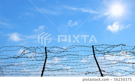 Barbed wire on blue sky background, Freedom, Barbed wire on blue sky background, Freedom, 56250375
