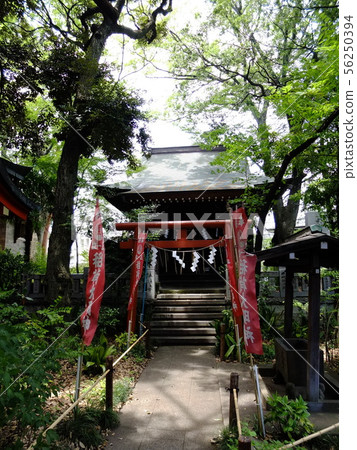 Jiyugaoka力量熊野神社 56250394