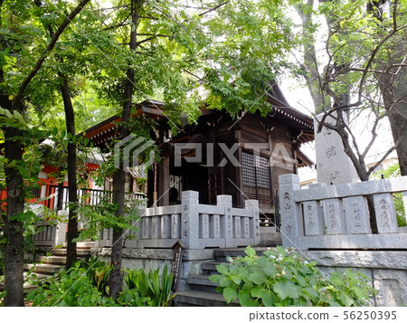 Jiyugaoka力量熊野神社 56250395