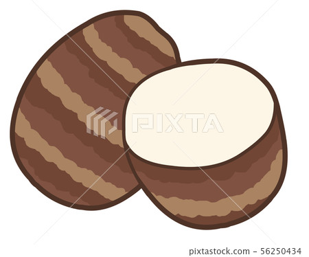 Illustration of one taro and half cut Illustration of one taro and half cut 56250434