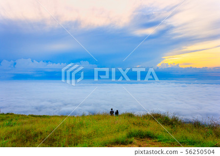 Beautiful Sunrise and mist at Phu Tubberk,Thailand Beautiful Sunrise and mist at Phu Tubberk,Thailand 56250504