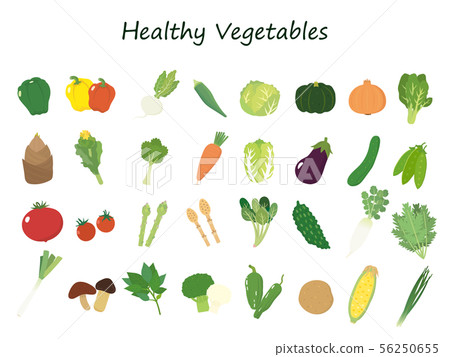 Illustration set of various vegetables 56250655