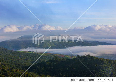 Beautiful Sunrise and mist at Phu Tubberk,Thailand Beautiful Sunrise and mist at Phu Tubberk,Thailand 56250684