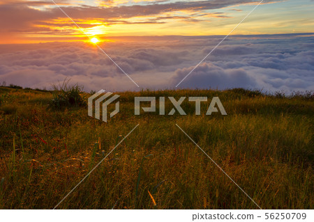 Beautiful Sunrise and mist at Phu Tubberk,Thailand Beautiful Sunrise and mist at Phu Tubberk,Thailand 56250709