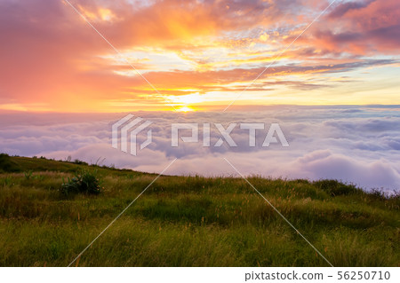 Beautiful Sunrise and mist at Phu Tubberk,Thailand Beautiful Sunrise and mist at Phu Tubberk,Thailand 56250710