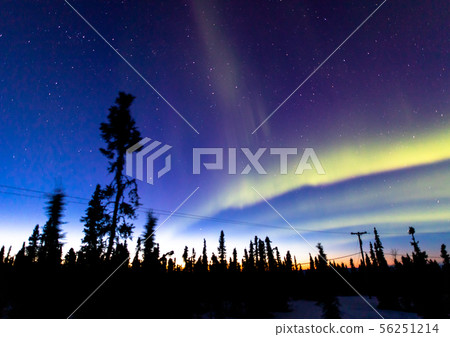 Alaska Fairbanks Spring Aurora Alaska Fairbanks Spring Aurora 56251214