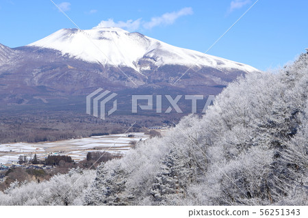 淺間山腳下的霜冰（輕井澤/宮田町，長野縣） 56251343