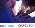 American nature 56251400