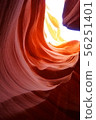 American nature 56251401