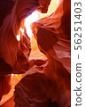 American nature 56251403