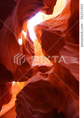 American nature American nature 56251403