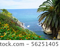 American nature 56251405