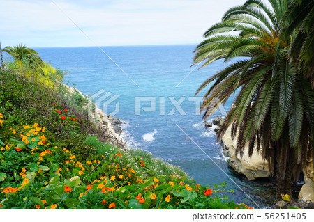 American nature American nature 56251405
