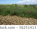 American nature 56251413