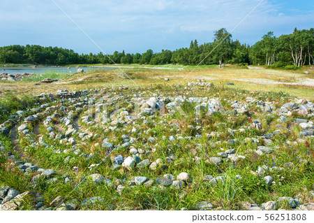 Stone labyrinth on the Solovki. 56251808