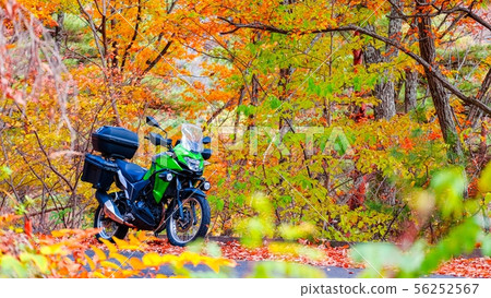 Touring (Autumn) Touring (Autumn) 56252567