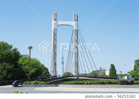 Kiba Park Ohashi and the Sky Tree Kiba Park Ohashi and the Sky Tree 56253162