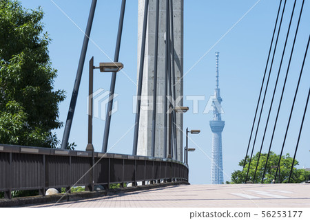 Kiba Park Ohashi和天空樹 Kiba Park Ohashi和天空樹 56253177