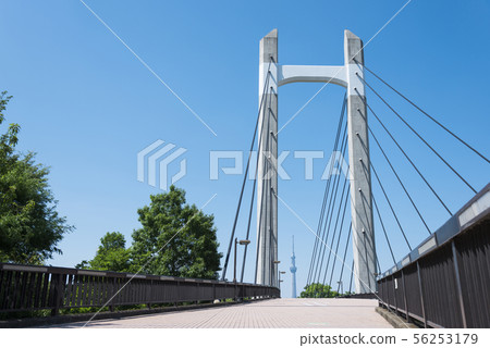 Kiba Park Ohashi和天空樹 56253179