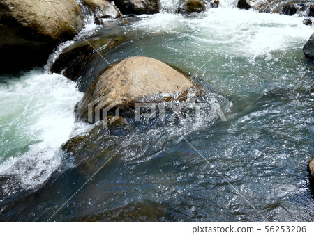 原始的箱根白川 原始的箱根白川 56253206