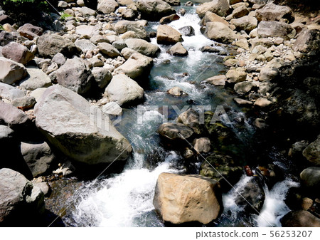 原始的箱根白川 原始的箱根白川 56253207