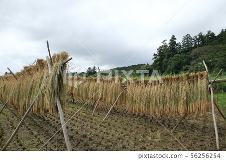 Landscape with ined rug 56256254