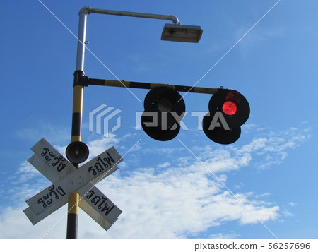 traffic light traffic light 56257696