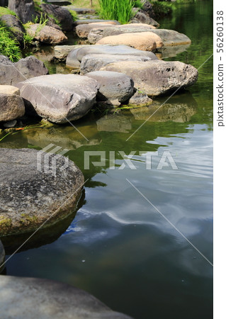 Kiyosumi花園在初夏 56260138