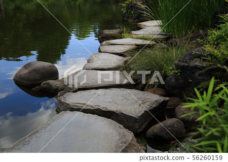 Kiyosumi花園在初夏 Kiyosumi花園在初夏 56260159