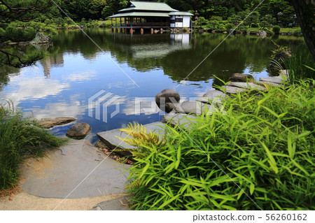 Kiyosumi花園在初夏 Kiyosumi花園在初夏 56260162