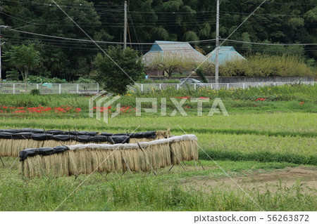 Landscape with ined rug Landscape with ined rug 56263872