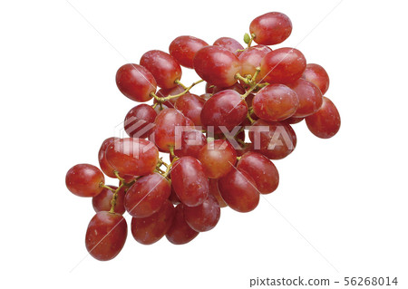 Crimson 05 (with pass) 56268014