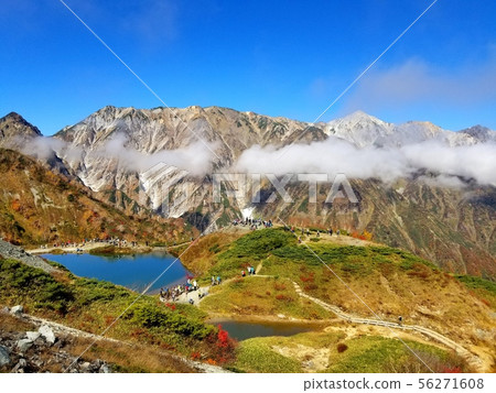 Happo 8在秋天 56271608