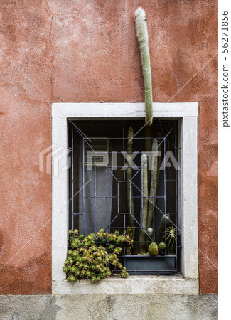 Detail of a window on a house in Murano island 56271856