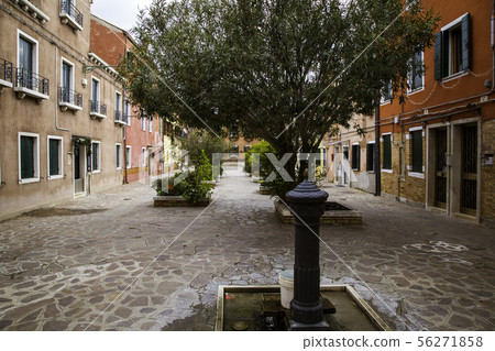 Murano island in the Venetian lagoon Murano island in the Venetian lagoon 56271858