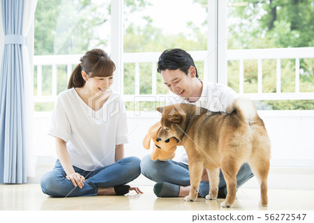A couple playing with Shiba Inu 56272547