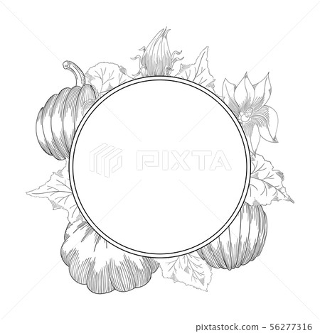 Pumpkin wreath vector drawing set. Isolated hand drawn object with sliced and leaves. 56277316