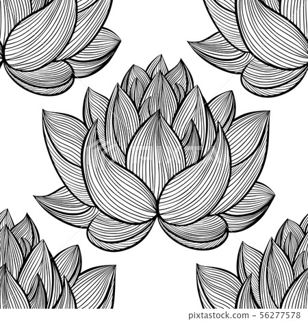 Lotus lily water pattern 56277578
