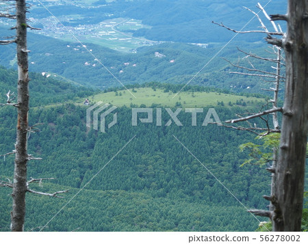 蓼科 蓼科 56278002