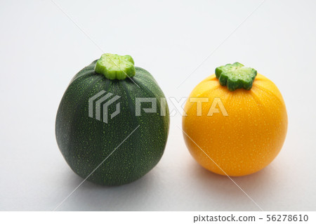 zucchini zucchini 56278610