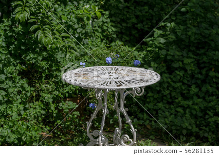 Vintage white table in garden. Vintage white table in garden. 56281135