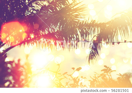blurred light bokeh with coconut palm tree blurred light bokeh with coconut palm tree 56281501