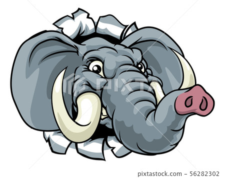 Elephant Sports Animal Mascot 56282302