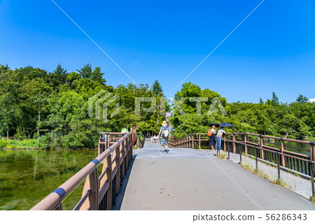 [東京]吉祥寺井之頭公園 56286343