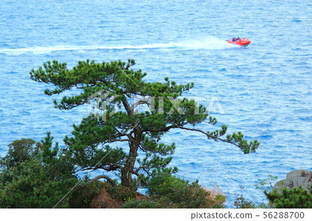 Doldog,岸邊,岩石,懸崖,海灘, Doldog,岸邊,岩石,懸崖,海灘, 56288700